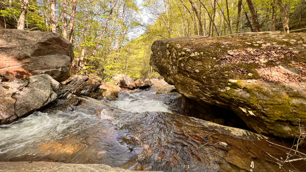 Registration form for the Matt Talbot Men's Spiritual Retreat